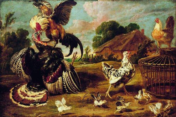 Paul de Vos The fight between a turkey and a rooster Norge oil painting art